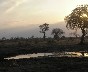 Water hole at Sunset