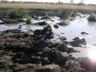 Water hole