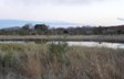 Waterhole