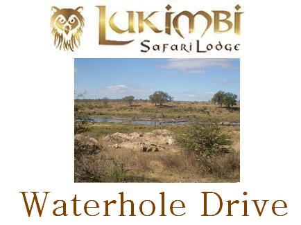 Safari Drive 5