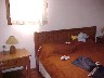 Nesting Birds