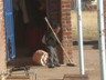 Monday morning cleanup at Binfield School