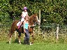 Horse Riding at Bourton