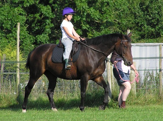 Horse Riding at Bourton