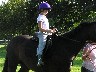 Horse Riding at Bourton