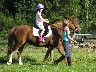 Horse Riding at Bourton