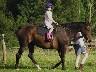 Horse Riding at Bourton