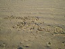Chintsa Beach