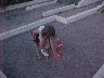 Crazy Golf