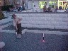 Crazy Golf