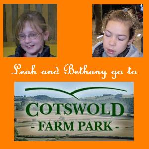 Cotswold Farm Park