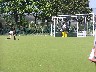 Horsham penalty stroke