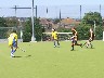 Penguin are out for the short corner