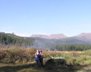 Hogsback Mountain in the background