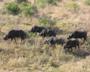 Lukimbi Lodge