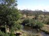 Lukimbi Lodge