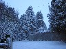 St Martin's in the snow