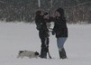 Puppies in the snow