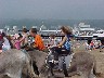 Weston Beach